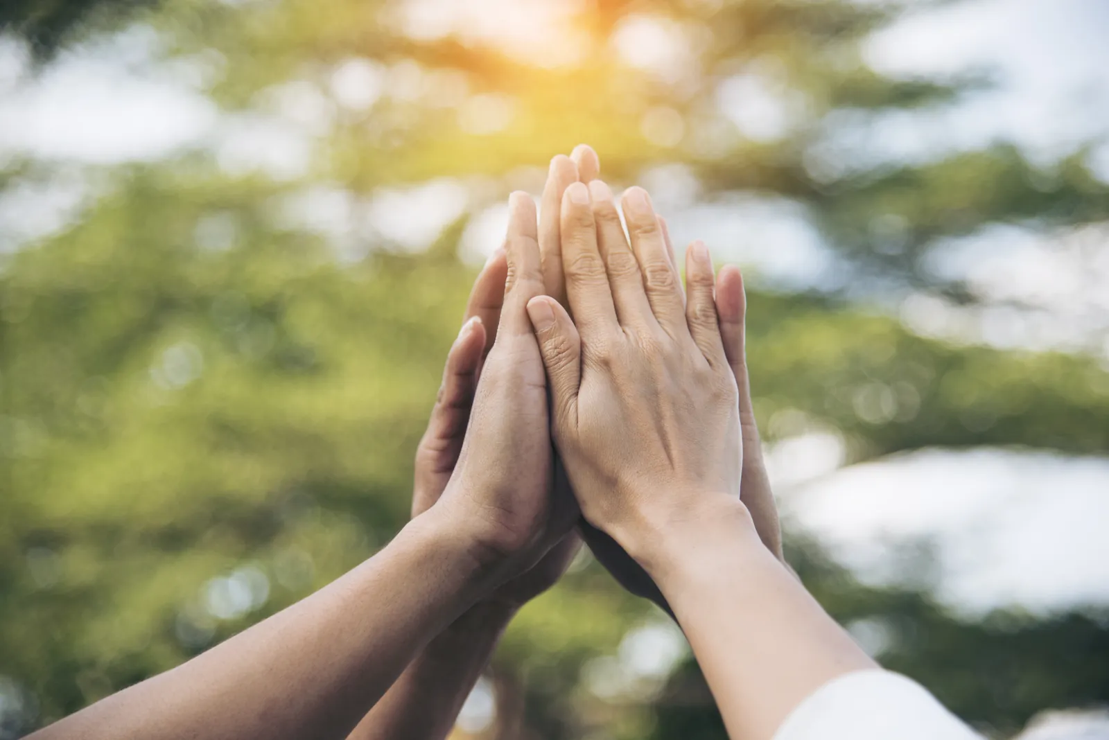 Hands joined in a team high-five